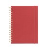 65036 RED Blank