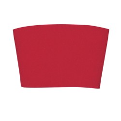 45 RED Blank