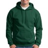 18500 ForestGreen
