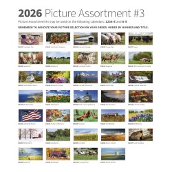 6-E pic assortment image
