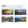 980-E pic assortment image