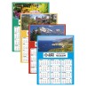 Skinner & Kennedy™ Display-A-Year