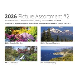 965-E pic assortment image