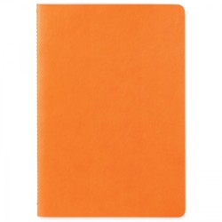 ST4182 ORG BLANK