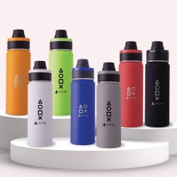 DW310