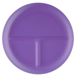 Translucent Purple