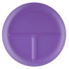 Translucent Purple