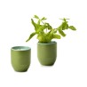 Modern Sprout® Garden Vibes Candle/Planter - In The Weeds-Mint