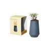 Modern Sprout Tapered Tumbler Grow Kit - Blue Agave-Eucalyptus