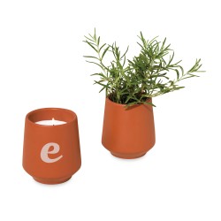 Modern Sprout® Rooted Candle - Sienna-Rosemary