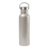 Aviana™ Metallics Double Wall Stainless Steel Bottle - 20 Oz. - Champagne