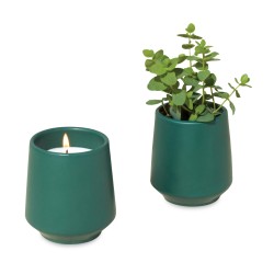 Modern Sprout® Rooted Candle - Dark Teal-Thyme