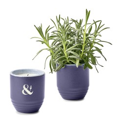 Modern Sprout® Garden Vibes Candle/Planter - Violet Hour-Lavender