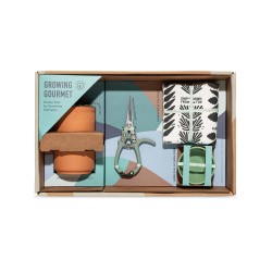Modern Sprout® Growing Gourmet Gift Set - Terracotta