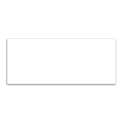 Rectangle Magnet 1-1/4 x 3