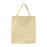 Canvas Day Tote