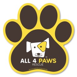 Paw Print Car Magnet 5.75 x 5.75