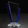 Large Inclination Award