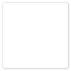 4 X 4 In Square Perm Standard Label