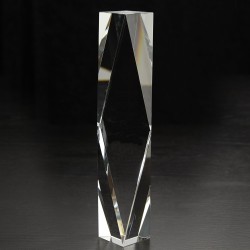 Large Chairmans 3D Crystal Award