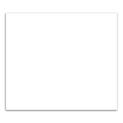 Rectangle Magnet 3-13/32 x 3-29/32