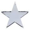 Crystal Star Paperweight