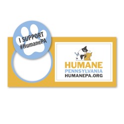 2-in-1 Pop Mag (Circle/Rectangle)