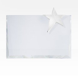 5" x 7" Star Wedge Award