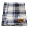Blue & White Plaid
