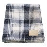 Blue & White Plaid