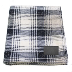 Blue & White Plaid