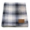Blue & White Plaid