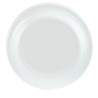 White - PMS White