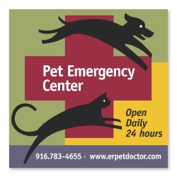 Square Magnet 3 1/2 x 3 1/2