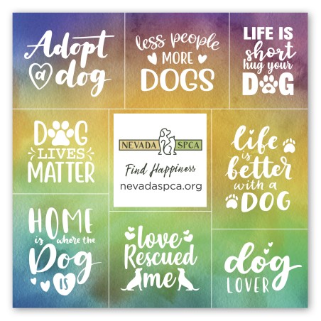 Square Magnet w/ 8 Message Magnets