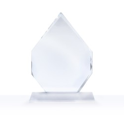 7" Arrowhead Award