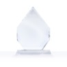 7" Arrowhead Award