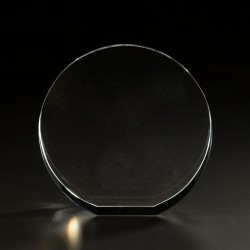 3D Circle Large Award