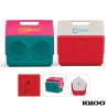Igloo KoolTunes Cooler