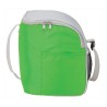 Cool Spring 12-Can Cooler