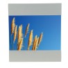 Cinema 7" x 5" Photo Frame