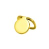 Gold Blank