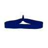 Royal Blue Blank