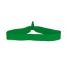 Kelly Green Blank