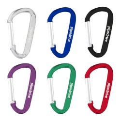 Carabiner Keychain
