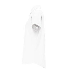 Large Blank