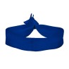 Royal Blue Blank