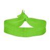 Lime Green Blank
