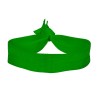 Kelly Green Blank