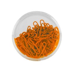Orange Blank